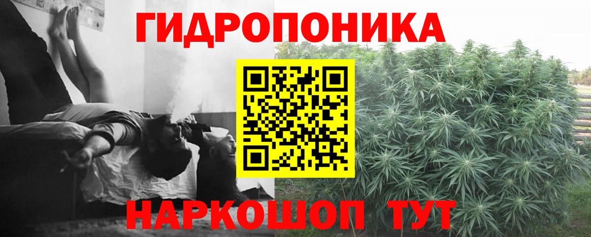 Конопля планчик  Вход с VPN  Шишки марихуана AK-47  Конопля гибрид  Кемерово 